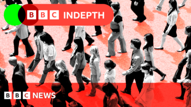 0bc37380 8f0d 11ef 89ae 5575c76d98e6