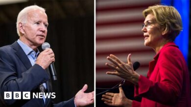 108757566 bidenwarren2.jpg