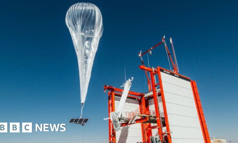 116626768 loonsmall.jpg