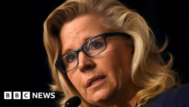 118468753 cheney2.jpg