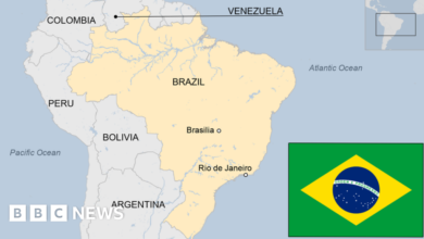 129973381 bbcm brazil country profile map 010623.png