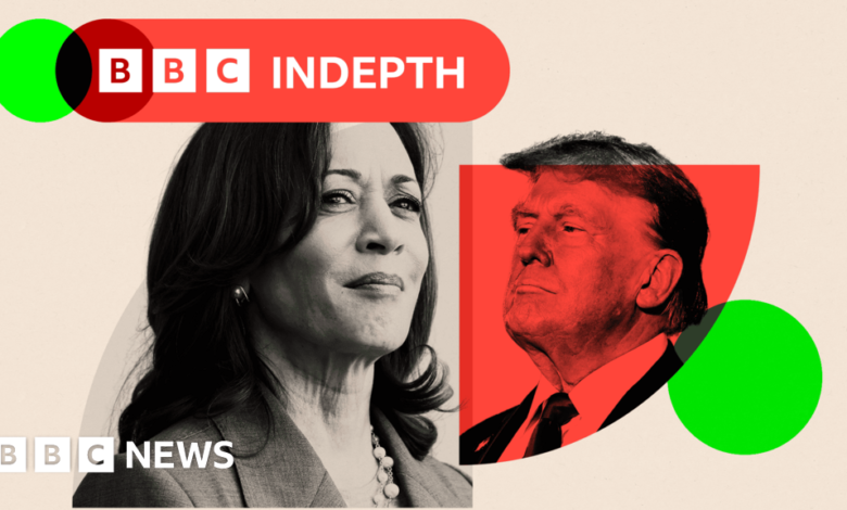 317c87d0 3d44 11ef 96a8 e710c6bfc866.png