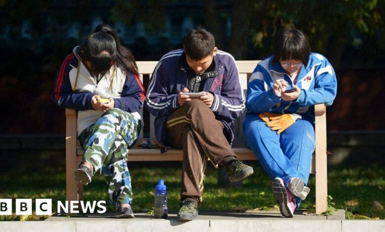 4b6e4e60 7f31 11ef b266 c1a332524046