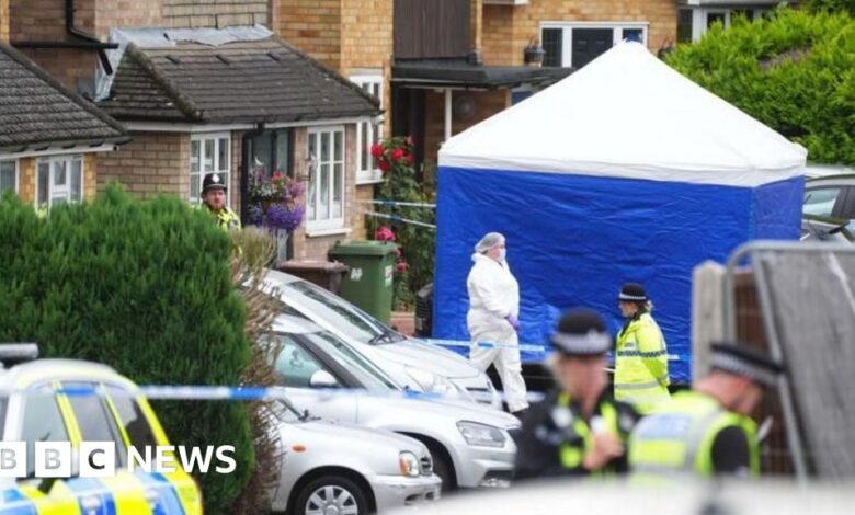 63e8f260 3fc6 11ef 9e1c 3b4a473456a6