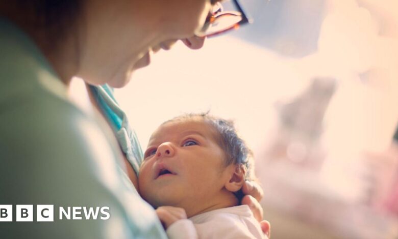 9148dae0 137f 11ef ab05 311ab27f5f2f.jpg