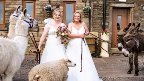 Dave Spink Photography Brides accompanied by two llamas in bow ties