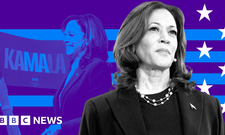 cf0dcdb0 7a52 11ef b02d c5f3b724a1ea