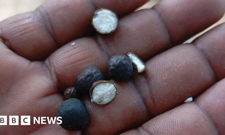 f355ba80 58c8 11ef aebc 6de4d31bf5cd