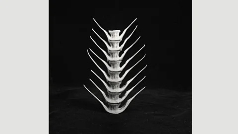 Adagp, Paris, 2019 A sculpture created in 1933 – Perriand was inspired by the forms of nature (Credit: Adagp, Paris, 2019)