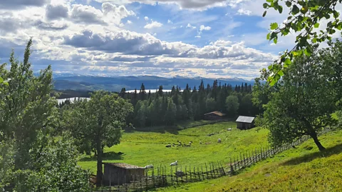 Justin Calderón Summer farms like Skallskog are inextricably linked to the ancient Swedish singing tradition of kulning (Credit: Justin Calderón)