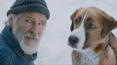Alamy Jack London’s other celebrated man-and-dog adventure Call of the Wild has also been adapted many times, most recently in 2020 with Harrison Ford (Credit: Alamy)