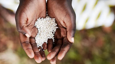 EyeEm Alamy Enslaved Africans morphed West African recipes to suit the plantation world (Credit: EyeEm Alamy)