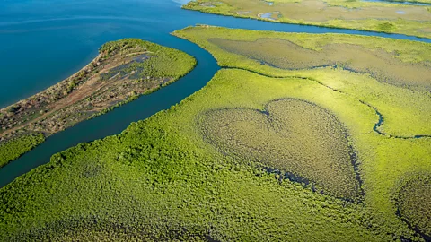 Frederic Desmoulins/Getty Images (Credit: Frederic Desmoulins/Getty Images)