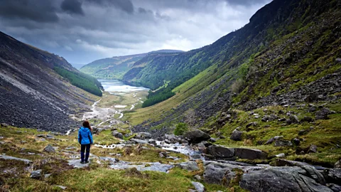 Anna Gorin/Getty Images Harris used quilting as a way to connect with her distant family from her home in Ireland's County Wicklow (Credit: Anna Gorin/Getty Images)