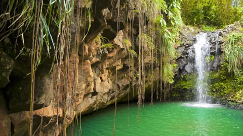 Blake Kent/Getty Images (Credit: Blake Kent/Getty Images)