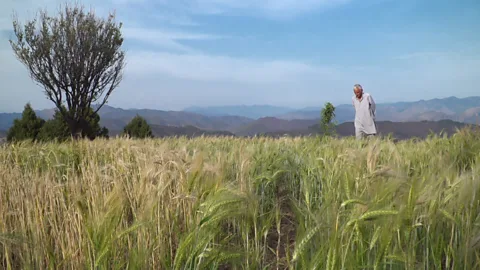 Nirmal Chander (Credit: Nirmal Chander)