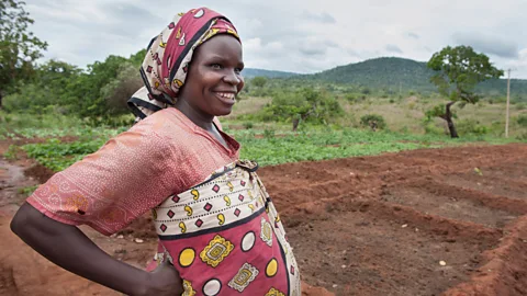 Alamy A pregnant woman taking a break from farming work (Credit: Alamy)