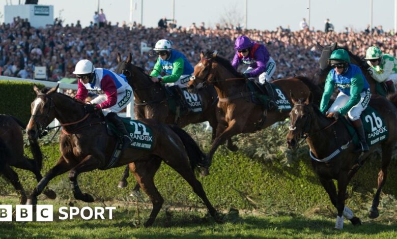 100772583 grand national afp.jpg