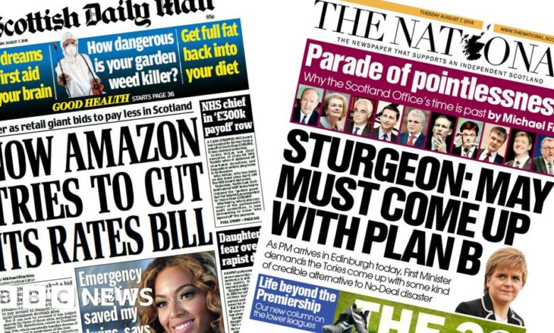 102856243 collage.jpg