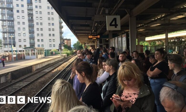 108312280 img 1714.jpg