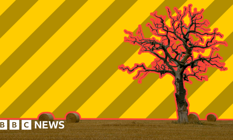 108391921 promo tree.png