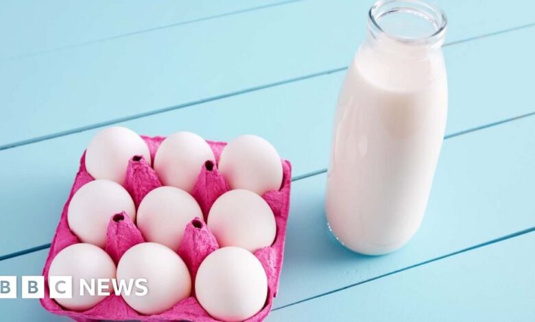 108540643 eggsmilk.jpg