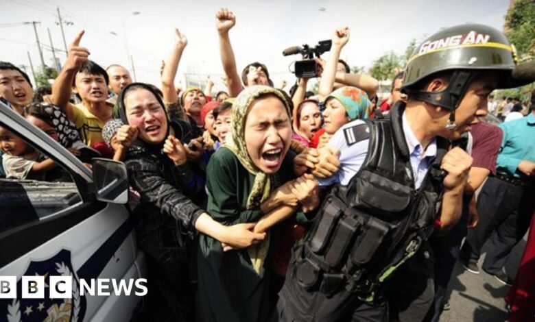 113526001 b721876a 3ca0 4788 933c e438bb5df89b.jpg