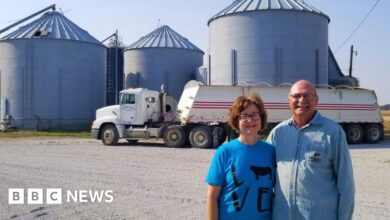 114877177 hayhurst 976.jpg