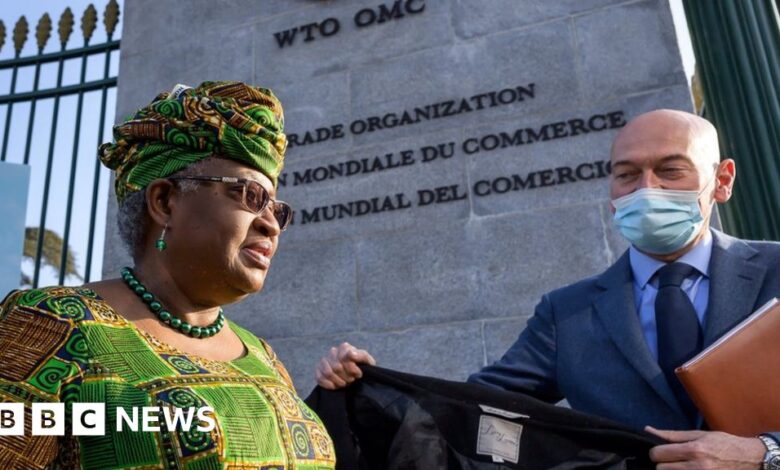 117339849 8edd02fa 4459 4613 86b2 ed64a9a80210.jpg