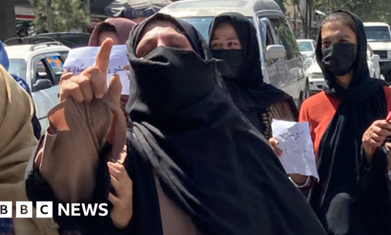 120453378 protesters.png