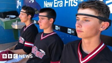 120994209 baseball players muse by michaelmacarthur cbc.jpg