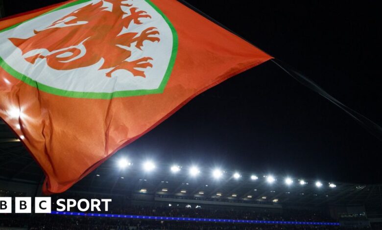 122883471 cdf 161121 ge wales v belgium 42.jpg