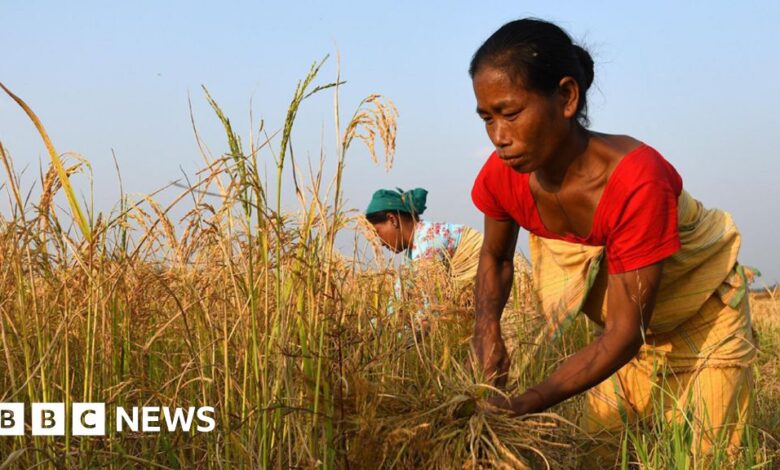 124207077 gettyimages 1236600821 976.jpg