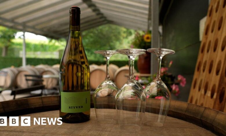 50ef6fe0 b89d 11ef 8f4f f32c7e094699.jpg