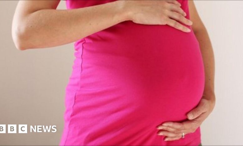 53367192 012148189 1.jpg