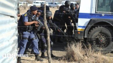 62333599 015735031.jpg