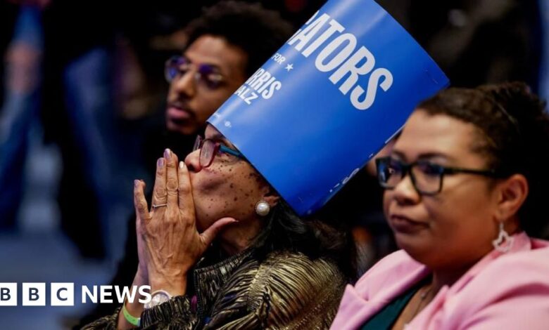 664630a0 9bfa 11ef 8538 e1655f5a8342.jpg