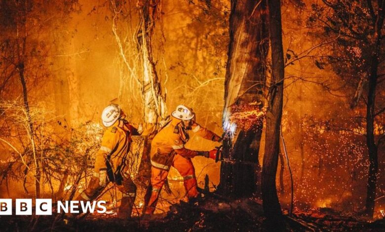 96744910 camnevilleintothefire 0001.jpg