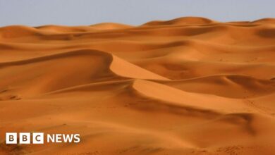 98461802 mediaitem98461801.jpg