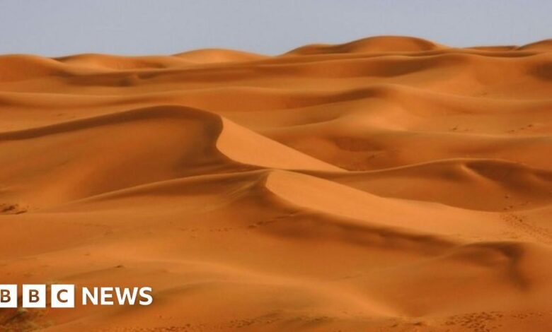 98461802 mediaitem98461801.jpg