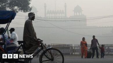 99742417 mediaitem99741575.jpg