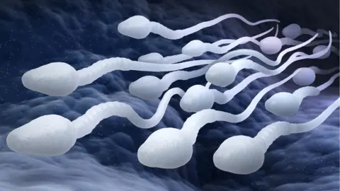 Getty Images sperm