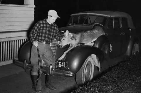 Getty Images A hunter returns home with a deer on his car in 1940
