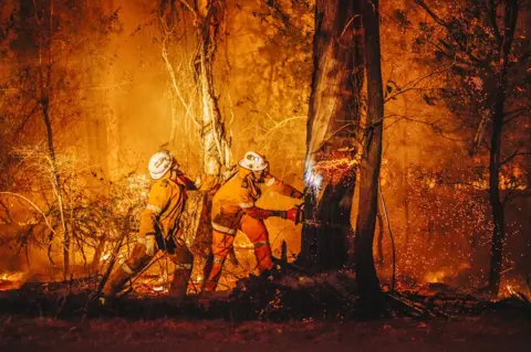 Cam Neville Two volunteer firefighters cut down a tree with a chainsaw as flames burn around them