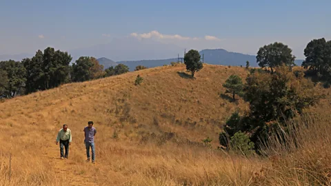 Megan Frye Milpa Alta feels worlds away from Mexico City, with forests covering approximately 50% of the delegation (Credit: Megan Frye)