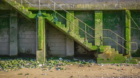VictorHuang/Getty Images The entire history of Britain can be told from items washed up on the foreshore (Credit: VictorHuang/Getty Images)