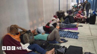 103169005 048833401.jpg