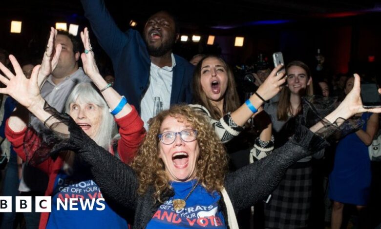104201388 democrats.jpg