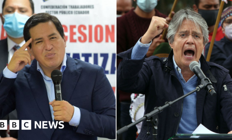 117894598 untitleddesign 1.png