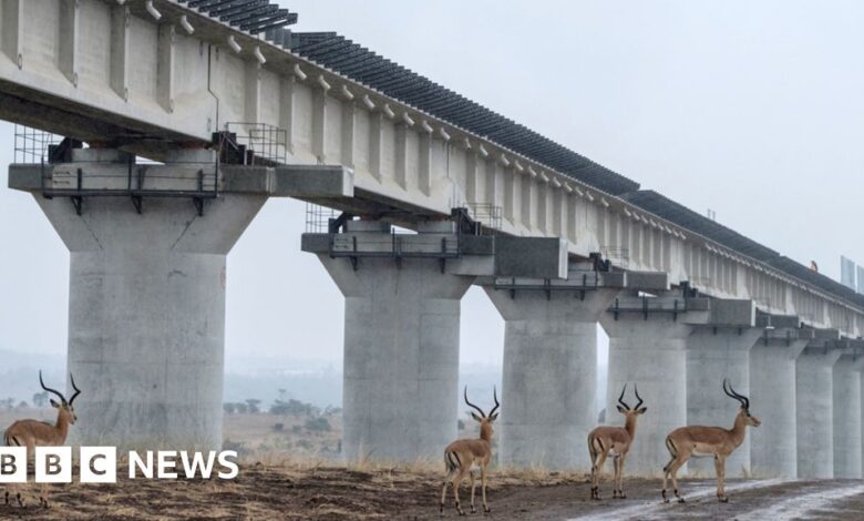 131418836 gettyimages 1064062982 afp976.jpg